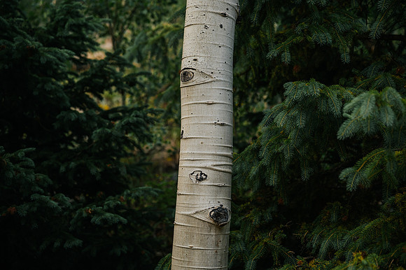 KF1_1070