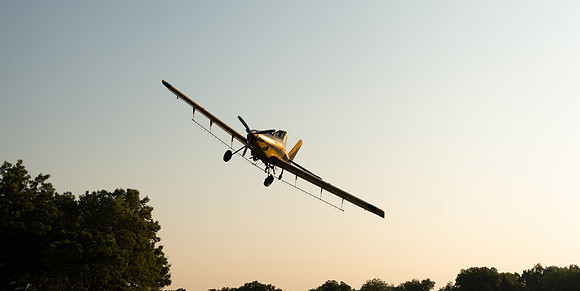 KF1_8454