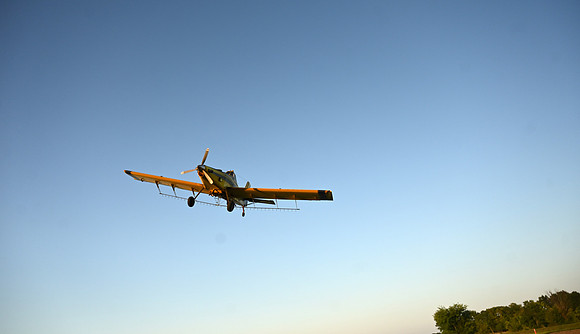 KF1_8602