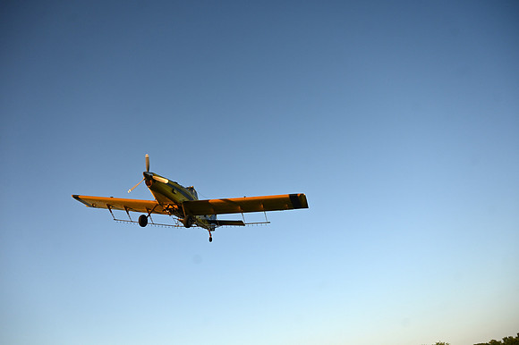 KF1_8603