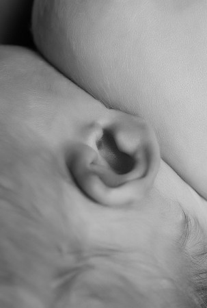 AB1_8047
