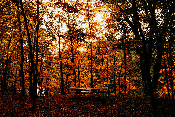 KF1_6789