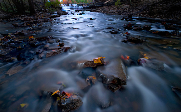 Whisper of Fall.