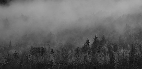 _KF33710