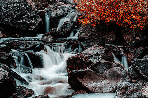 _KF33745