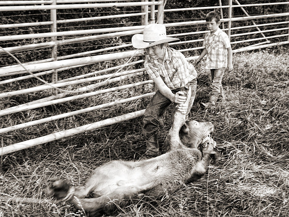 KEN_6412