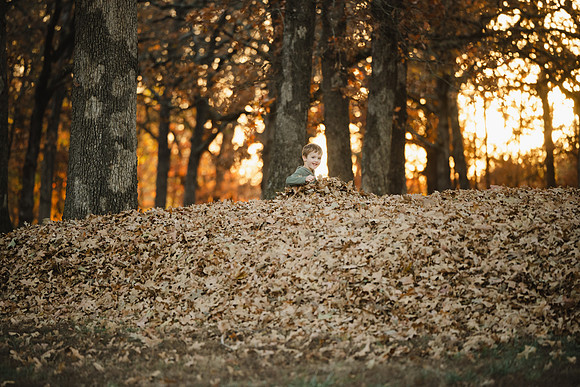DSC_2562