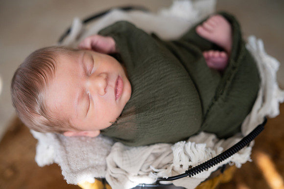 DSC_1185