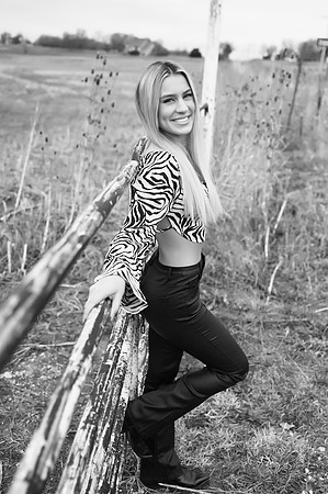 KF1_3377