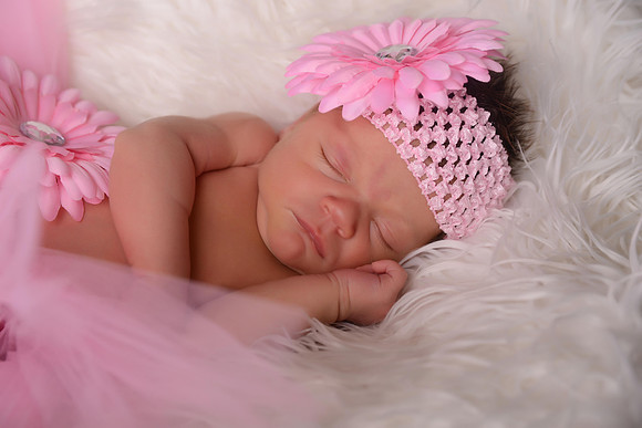 KFP_0359