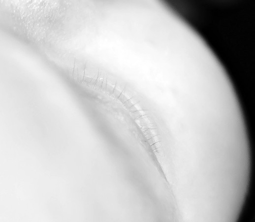 DSC_9670