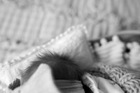 1KF_5565