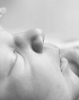 1KP_4337