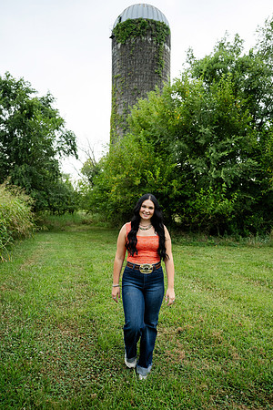 DSC_0233