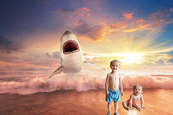 SharkBeachDashandFox