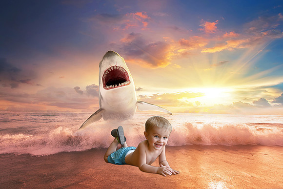SharkBeachDash1