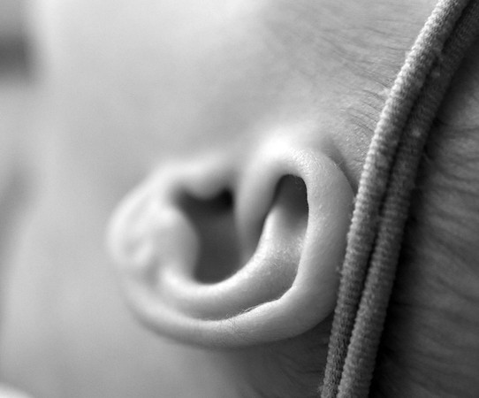 DSC_4512