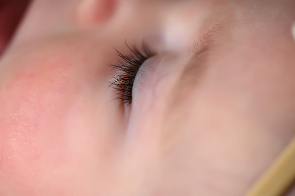 DSC_6519