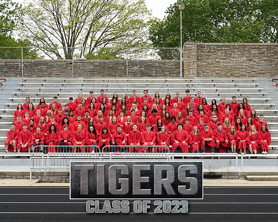 TIGERS