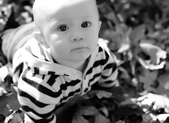 ABC_2982