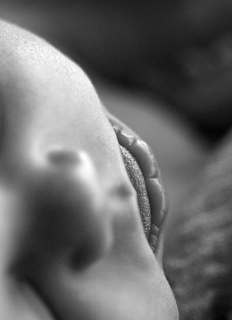 DSC_4519