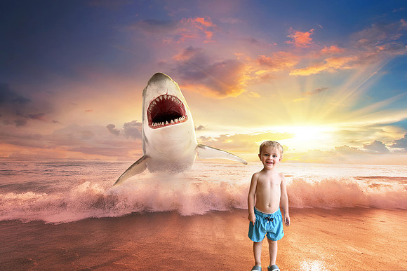 SharkBeachDash