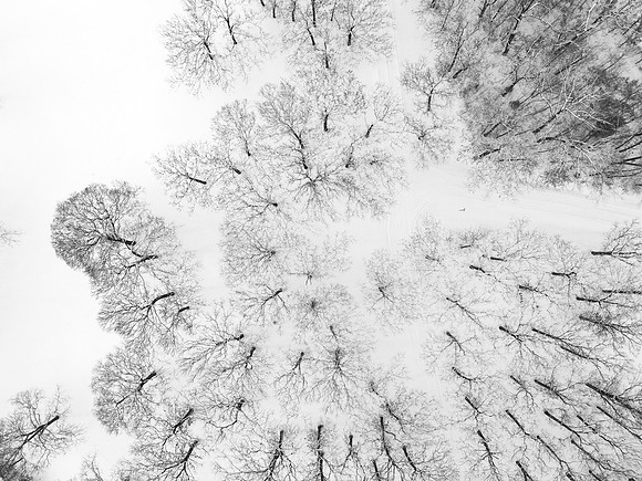 DJI_0062(1)