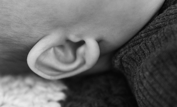 DSC_0542