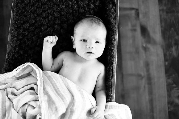 DSC_38831.