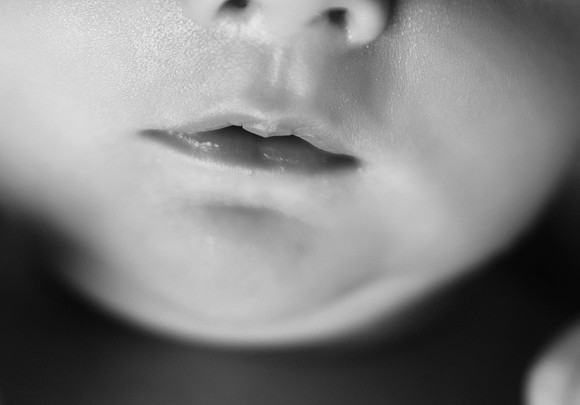 DSC_1196