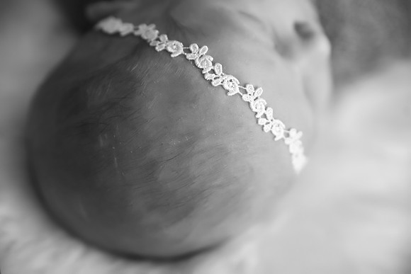 DSC_5500