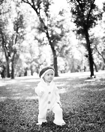 DSC_57811.