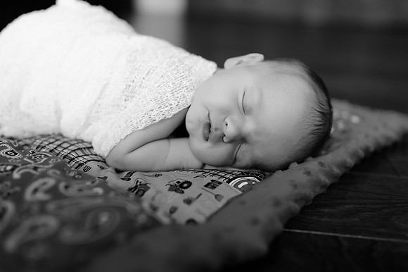 ABC_3951