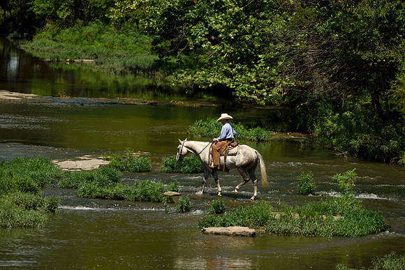 DSC_1782