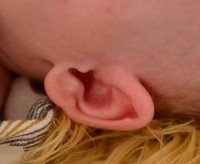 DSC_1228