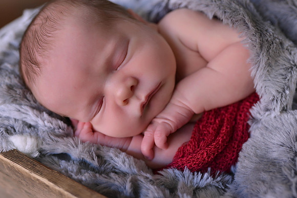 DSC_0204