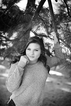 DSC_81091.