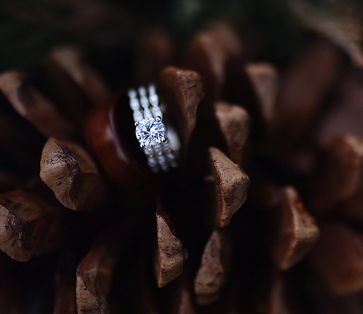 KF3_9303