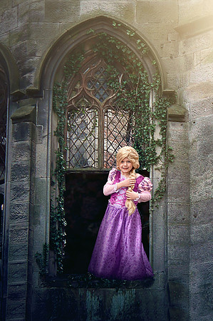Repunzel - Window 2