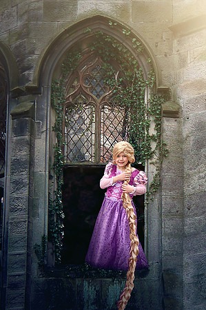 Repunzel - Window