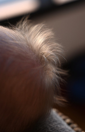 DSC_2640