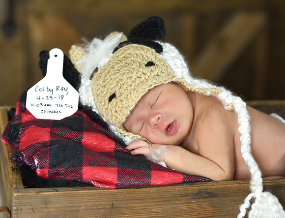 KF3_7946
