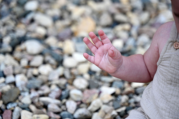 KF1_8581