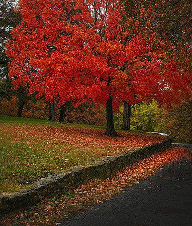 ChangingSeasons