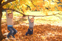 DSC_8286
