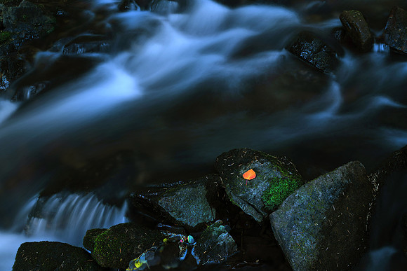 Solitude1.