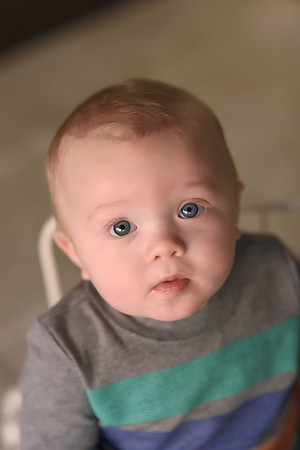 KF3_9812