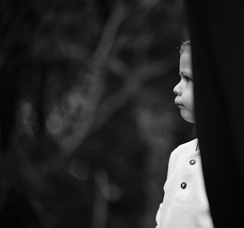 KF1_3151
