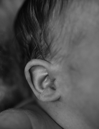 DSC_7543