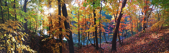 Fall Gunn Park 2014 panorama.